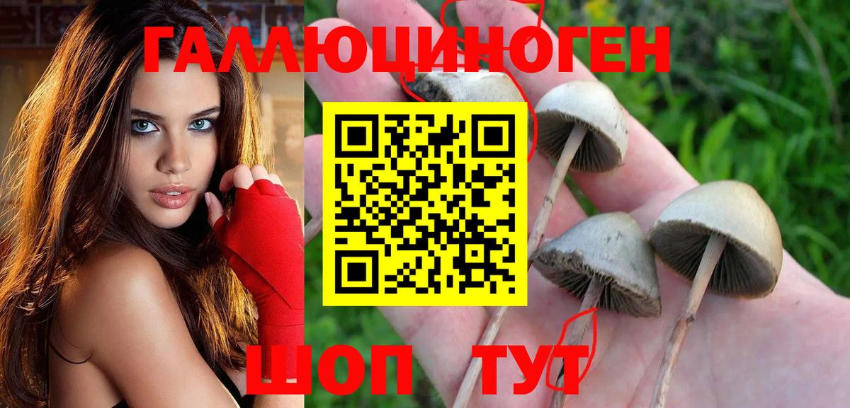 Галлюциногенные грибы MAGIC MUSHROOMS  Вход с VPN  купить наркотики сайты  Галлюциногенные грибы Psilocybe  Муравленко 