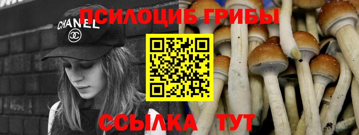 Псилоцибиновые грибы мицелий Муравленко